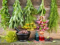 با این گیاهان از کبد و صفرای خود محافظت کنید