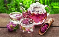 این گیاه متخصص خوب کردن حال کبد و دستگاه گوارش