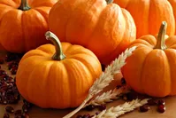 عکس/ رونمایی از کدو تنبل یک تنی