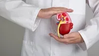 این سبزی به درمان بیماران کلیوی کمک می‌کند