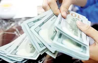 سیگنال برجامی به قیمت دلار