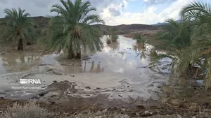 باد شدید و گردوخاک در سیستان و بلوچستان / بارش ۵۴ میلی‌متری در سوران