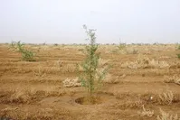 ایران چقدر بیابان دارد؟