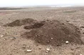 تاریخ