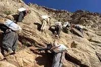 نماینده سنندج: تعداد کولبران به بیش از 100 هزار نفر در کردستان رسید