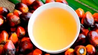 آیا روغن پالم بر سطح کلسترول تأثیر می‌گذارد؟