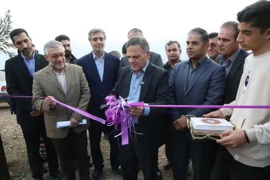 بزرگترین باغ زیتون ایران در زنجان افتتاح شد