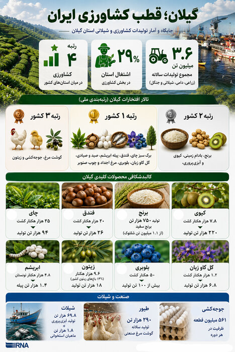 گیلان در تولید چه محصولاتی در ایران اول است؟