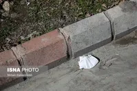 تصاویر| رهاسازی ماسک‌ و دستکش‌ها در خیابان!