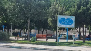 مرگ تلخ دلسای ۷ ساله در پارک اسلامشهر، علت چیست؟