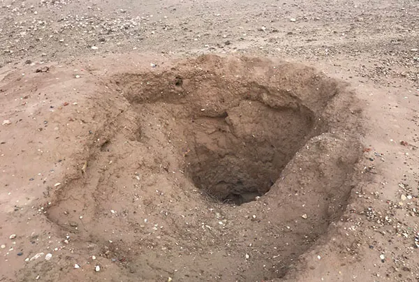 تاریخ
