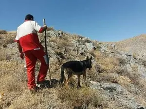 پایان ۷ ساعت دلهره در کوه‌های «جم»؛ مرد ۷۰ ساله به آغوش خانواده بازگشت