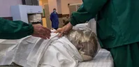 آمار کرونا در ایران، ۱۴ مرداد ۱۴۰۰/ شناسایی ۳۸۶۷۴ بیمار و ۴۳۴ فوتی جدید