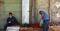 تصاویر| جریان زندگی در همسایگی قلعه بیرجند