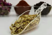 خواص باورنکردنی گلپر که بعد از خوردن نصیب تان می‌شود