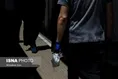 تالبی