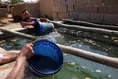 منصوره