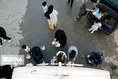  قطعی آب شهرکرد ۷ روزه شد