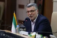 ظفرقندی: برنامه پزشک خانواده باید آغاز شود