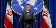 واکنش‌ها به مرگ قاضی منصوری در رومانی؛ از احتمال خودکشی تا کنایه "داروی نظافت"