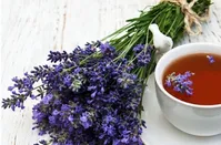 خواص ضد باکتریایی مرزه را بشناسیم