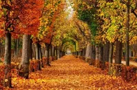 فیلمی از تغییر فصل در مکانی یکسان