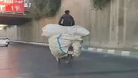 فیلم| حرکت خطرناک یک موتور سوار هنگام حمل بار