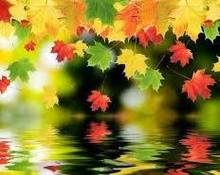فصل عاشقانه