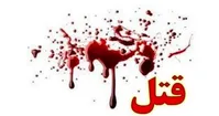 عامل قتل مرد جوان زن عضو باند سرقت را لو داد