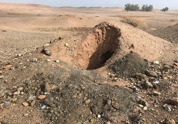 تاریخ