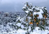 هشدار سازمان هواشناسی/ بارش برف تداوم دارد؛ منتظر کاهش ناگهانی دما باشید