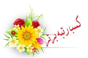 درخشش بهزیستی آذربایجان‌شرقی در رتبه‌بندی کشوری