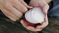 بهترین خوراکی برای خانم‌ها برای جلوگیری از سرطان تخمدان