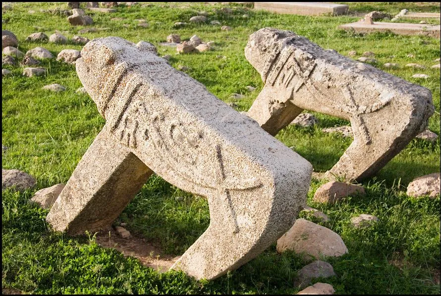 شیر