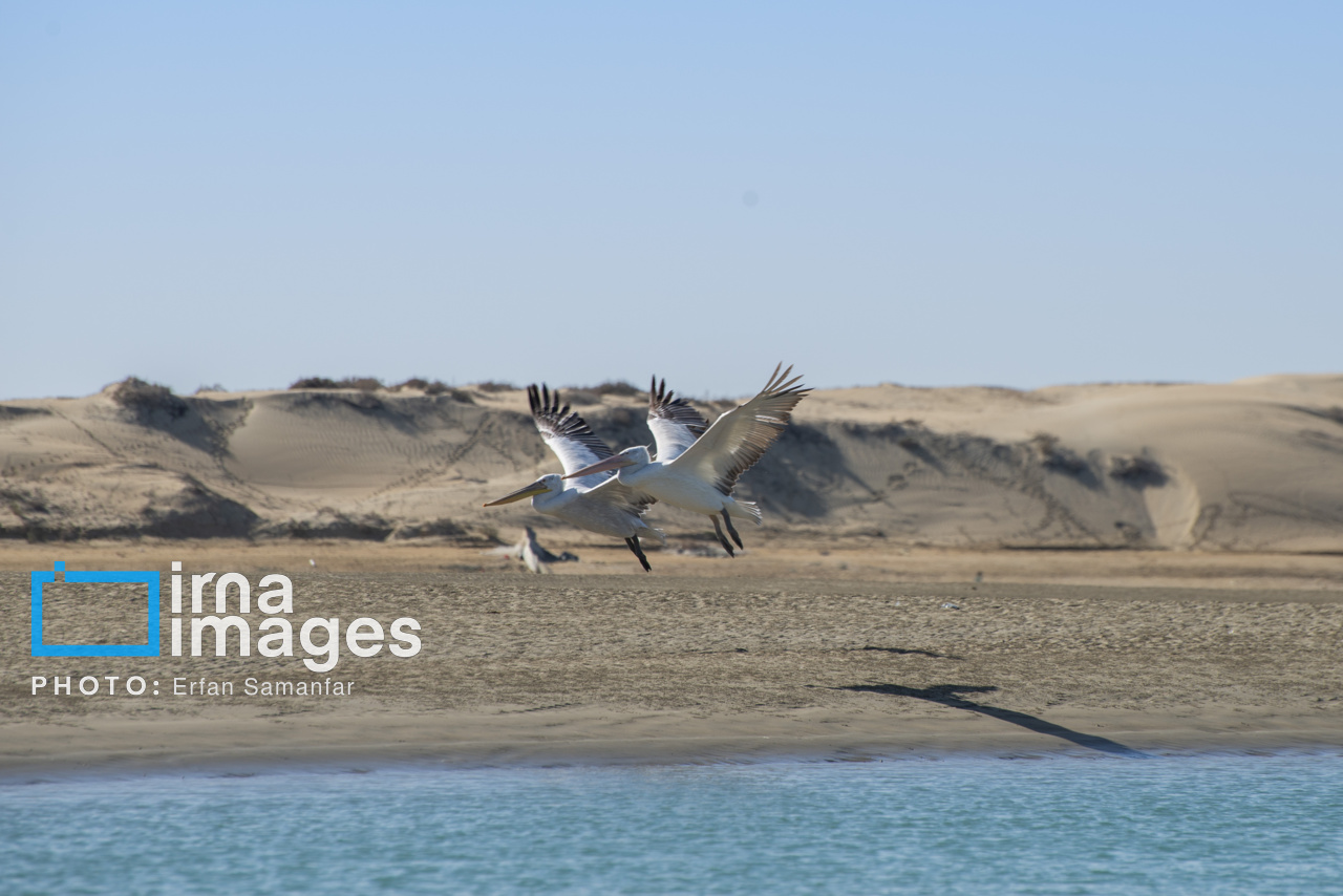 سیستان و بلوچستان