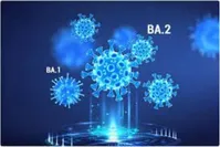 سویه BA.۲ خطرناک است؟