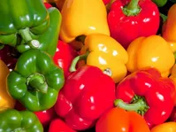 بهترین مواد خوراکی برای بهبود عملکرد دستگاه گوارش