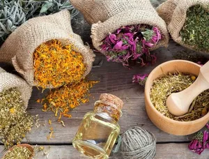 مصرف خودسرانه دارو‌های گیاهی ممنوع