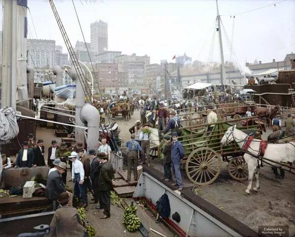 اسکله موز، نیویورک، حدود 1890-1910