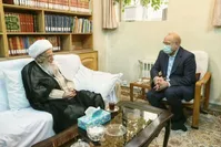 آیت‌الله صافی‌گلپایگانی: گرانی برای مردم طاقت‌فرسا شده / قهر با بسیاری از کشورهای دنیا صحیح نیست؛ به ضرر مردم است