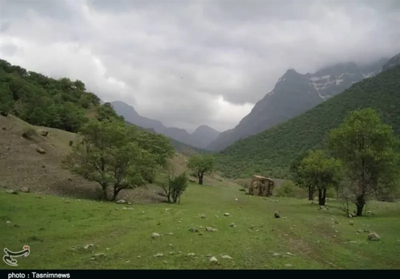 زاگرس