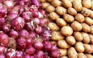 صادرات سیب‌زمینی، پیاز و گوجه‌فرنگی در فارس ممنوع شد