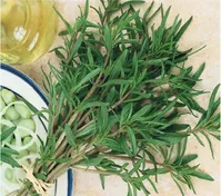 سبزی خوردن معطر با خاصیت ضد انعقادی