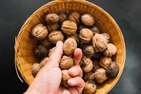 با گردو سه سوته سرفه را درمان کنید