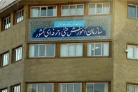 بیش از ۶۰۰۰ کارمند "فنی و حرفه‌ای" خواستار انحلال این سازمان شدند!