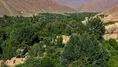 کرمان