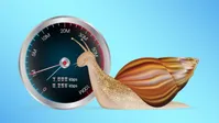 اینترنت پرسرعت می‌خواهید؟ به محله و کوچه مسئولان بروید!