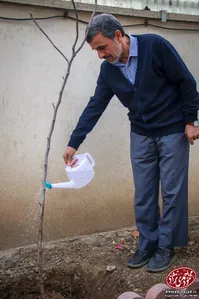 درختکاری احمدی‎نژاد به یاد بهار، بقایی و مشایی+عکس