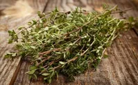 مهم ترین خواص آویشن که نمی دانستید