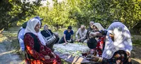 تصاویر| فندق‌چینی در باغ‌های کوهستانی گیلان